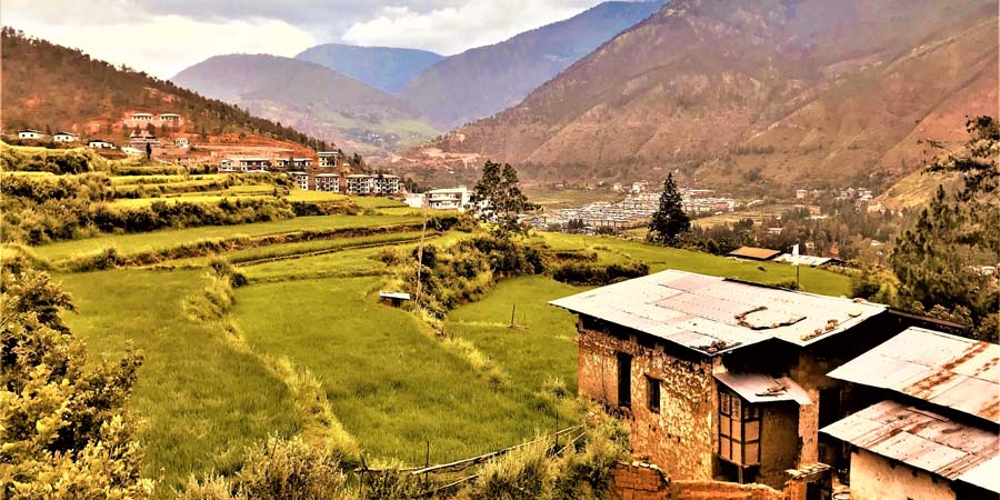 Lush Rinchengang village 