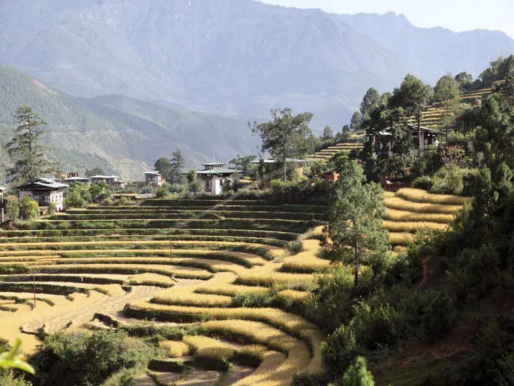 Divine Madman Trail, Bhutan | Bhutan Best Inbound Tour